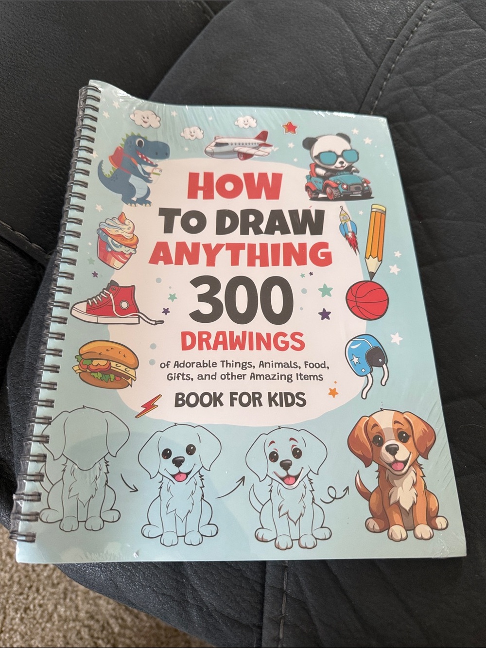 How to Draw Anything - 300 Drawings (Kids) - Light Blue Cover
